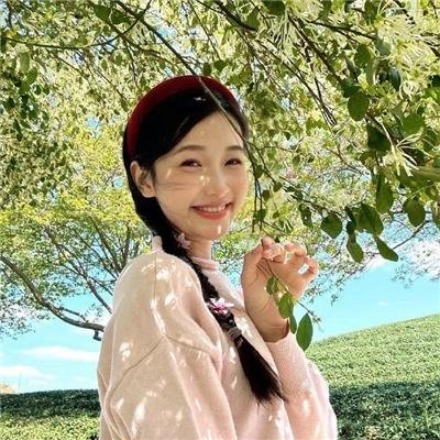 金毛喜迎冬