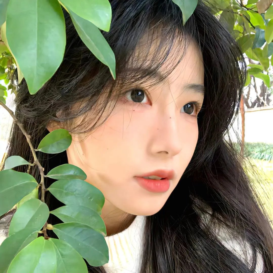 梦城兔福星